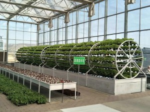 甘肃智慧农业物联网系统